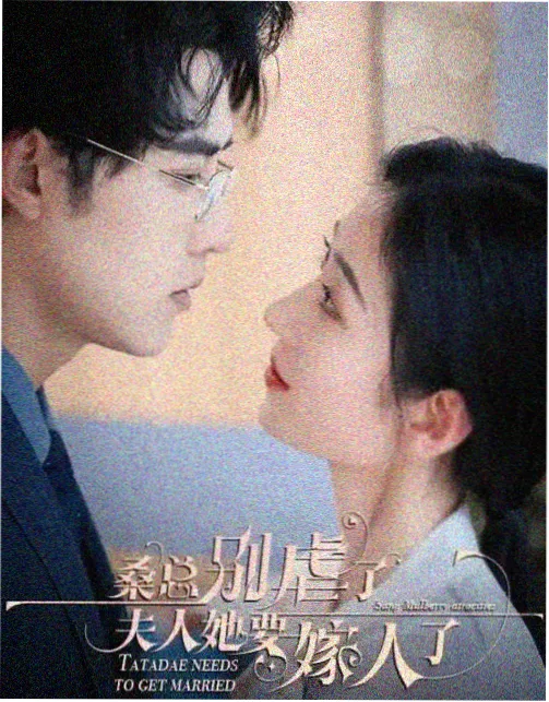 长篇家庭教师剧集紧身裙角色演变
